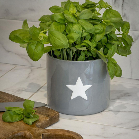 Grey Ceramic Planter with White Star
